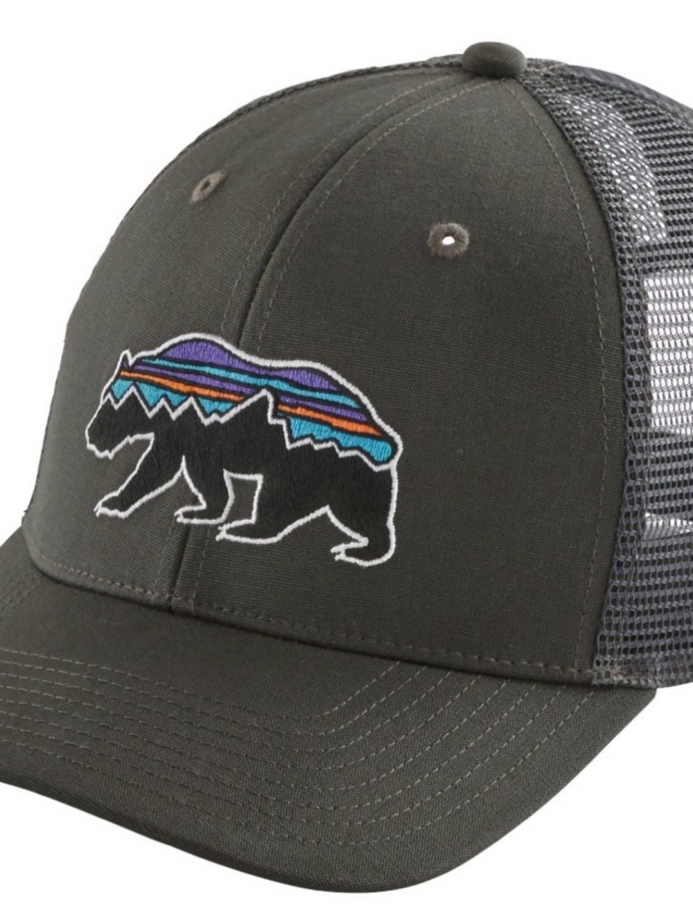 Patagonia Fitz Roy Bear Trucker Hat